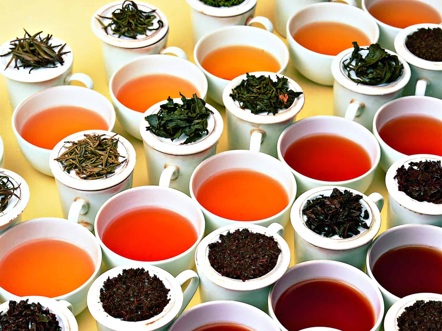 Experience Travel Group Blog Experience Travel Tea Tasting Afternoon!