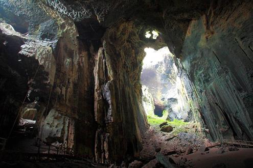 Explore Gomantong Caves