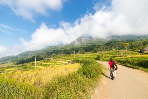 Central Highlands of Sulawesi