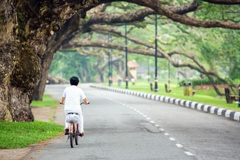 Cycling Through Rural Penang