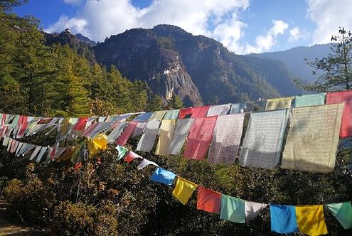 Hanging your Prayer Flags