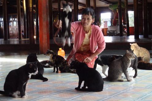 Jumping Cats Monastery, Lake Inle