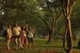 Classic Family Sri Lanka