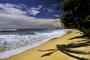 Essential Sri Lanka with East Coast