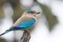 Cricket & Sri Lanka's Natural Wonders
