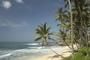Sri Lanka Explorer Special with East Coast Beach