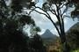 Wild Southern Sri Lanka