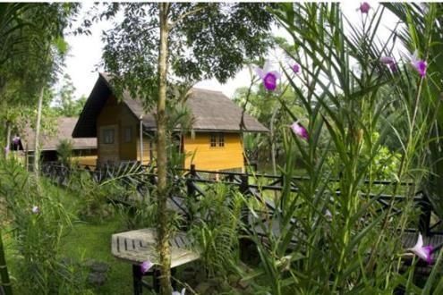 Sepilok Nature Resort, Kabili-Sepilok Forest 