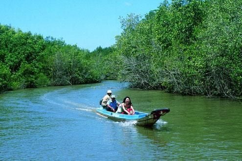 Can Gio Mangrove by Speedboat