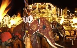 kandyp-300x188 Kandy Perahera