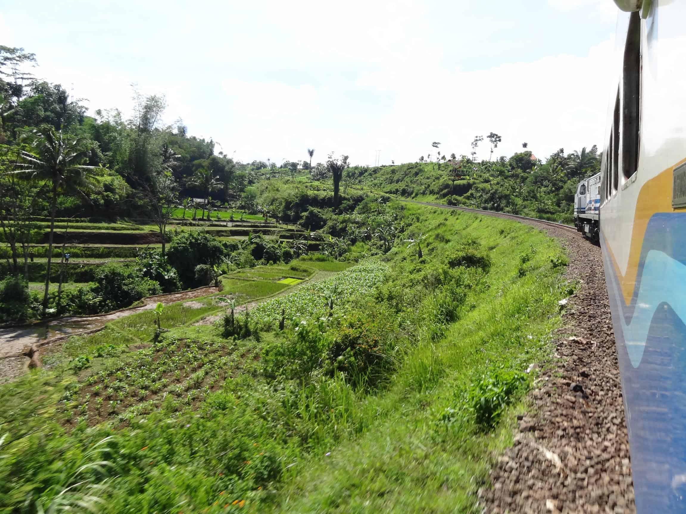 View from train door in Central Java, Indonesia