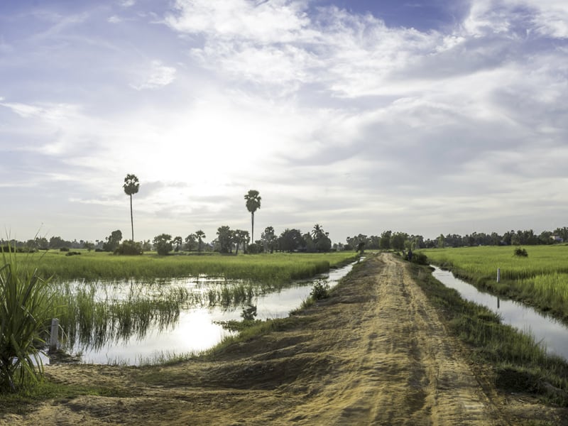 Siem Reap rizires