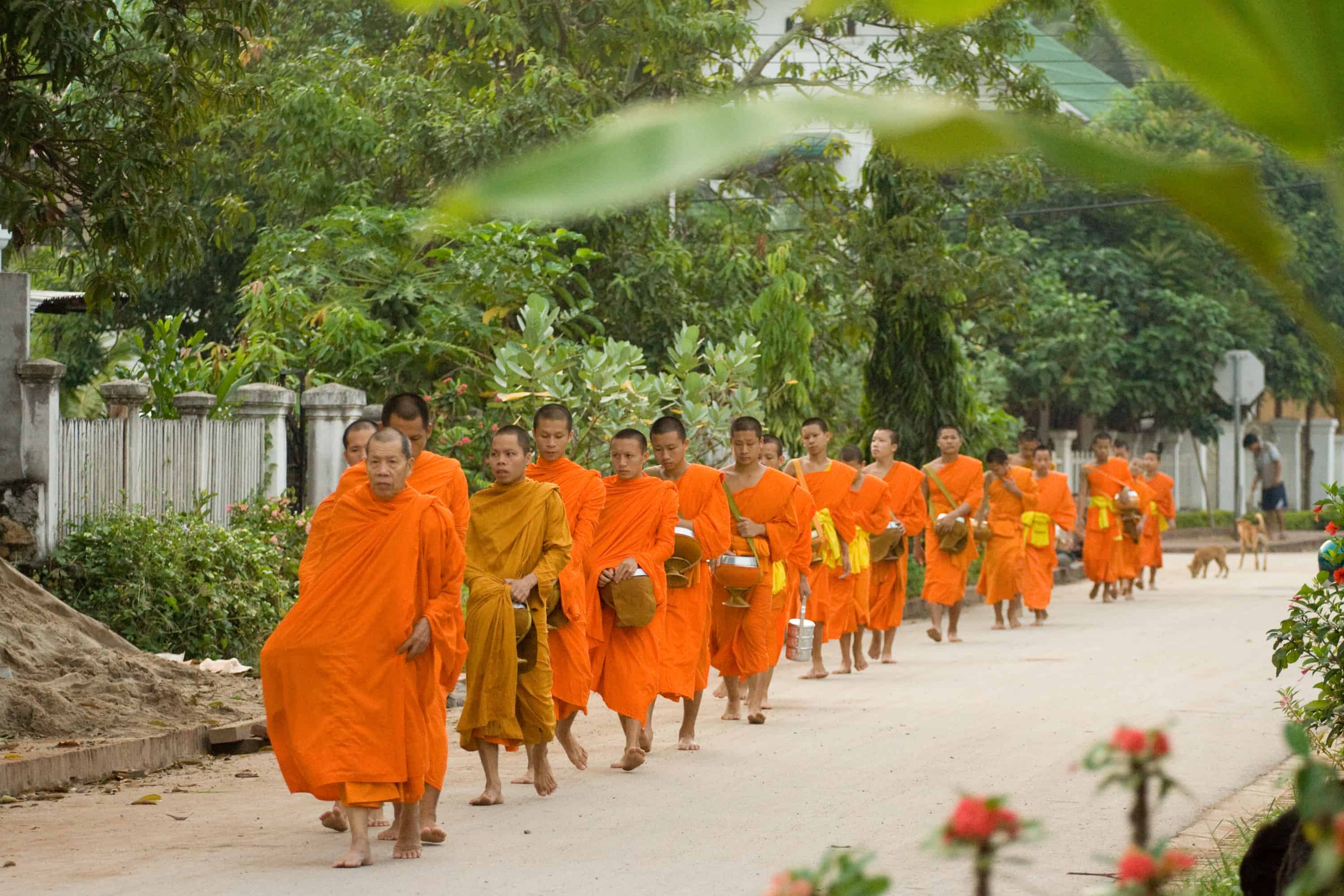 Monks in Chiang Mai early in the morning