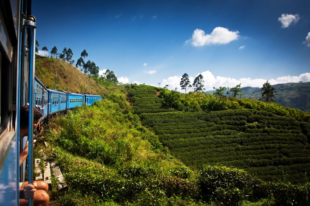 train from Nuwara Eliya to Kandy among tea plantations in the hi