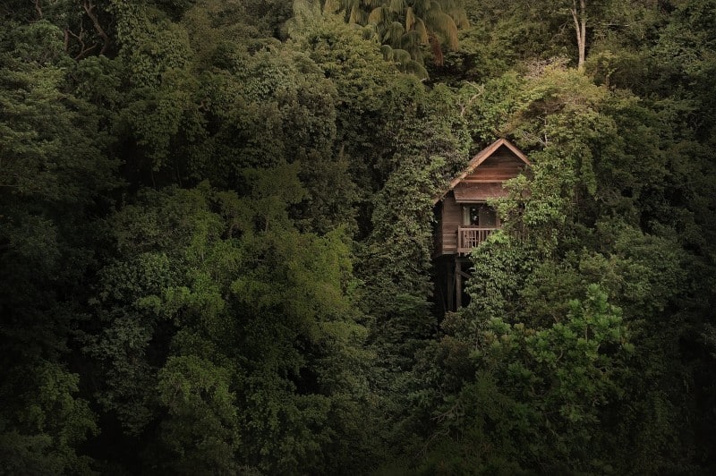 Treehouse looking out onto the ocean from Permai Rainforest Resort