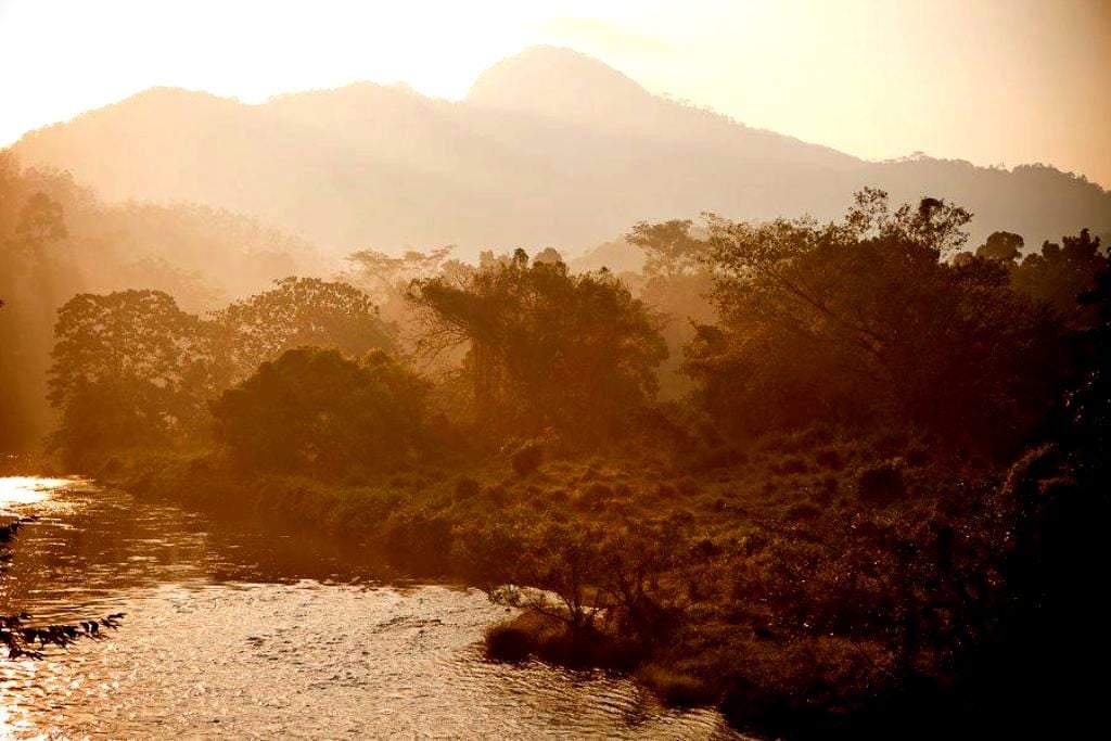 Kithulgala at Dawn