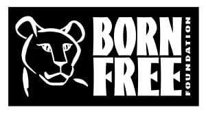 Born-Free-1