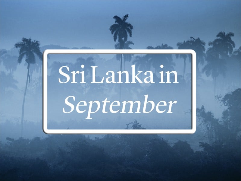 Sri Lanka in September advert