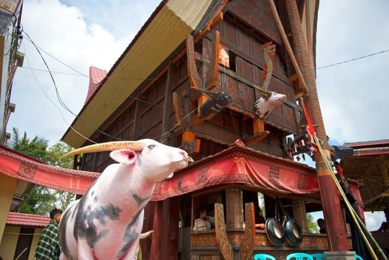 Sulawesi Malakiri Village Funeral - Tongkonan with Model Buffalo