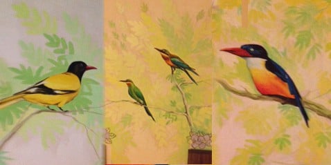 Bird paintings on the walls