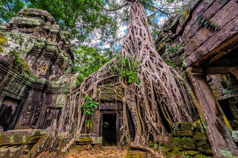 Panorama of ancient stone door and tree roots, Ta Prohm temple ruins, Angkor, Cambodia