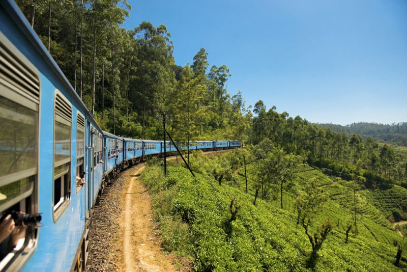 The train from Ella running through beautiful green tea plantations