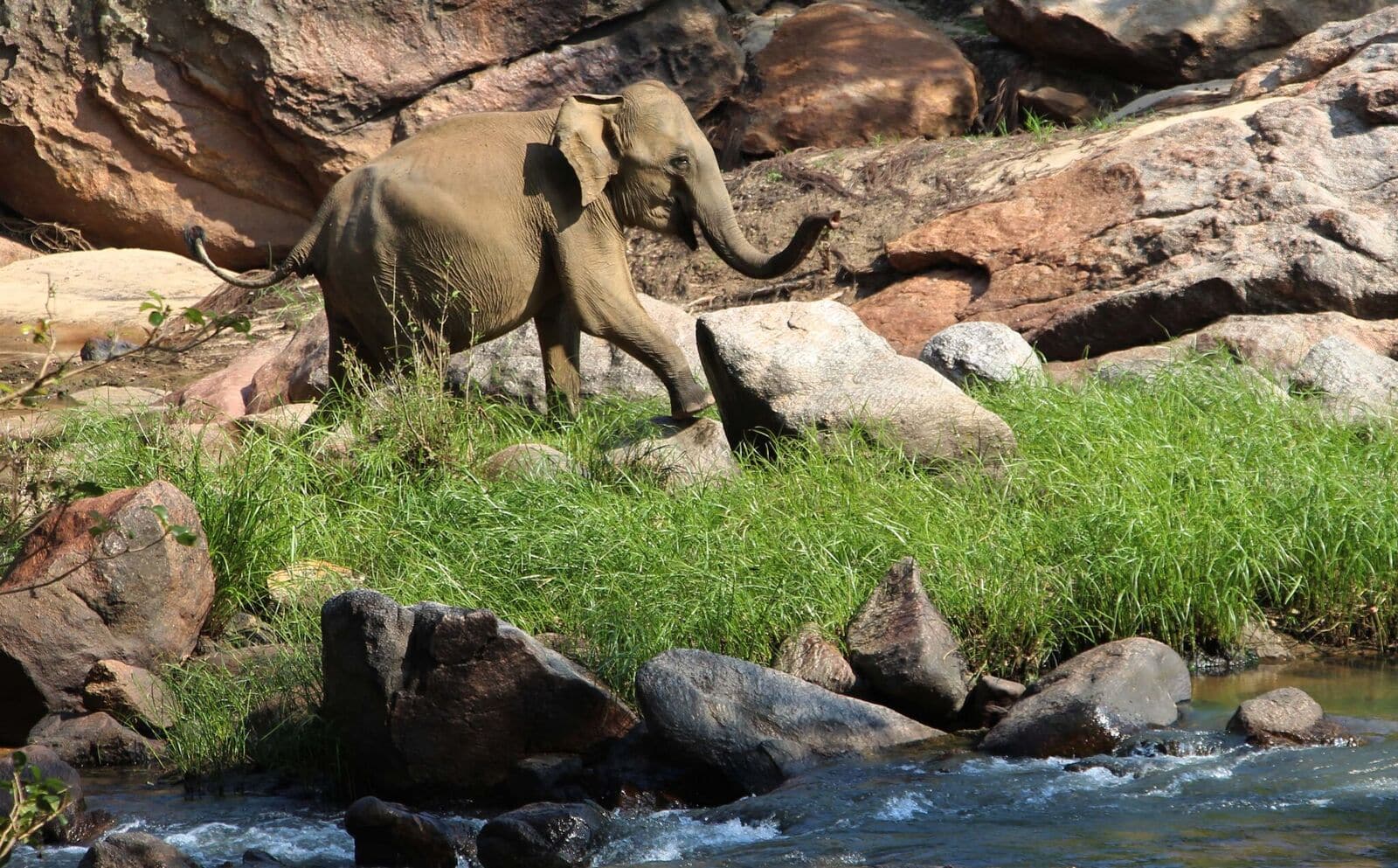 Gal Oya National Park