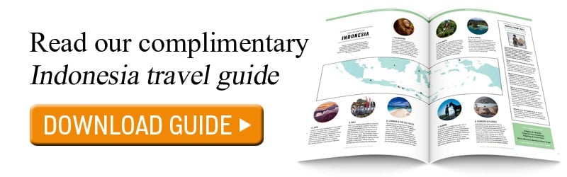 Read our complimentary Indonesia travel guide