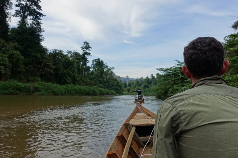 See wild elephants from the river in Malaysia