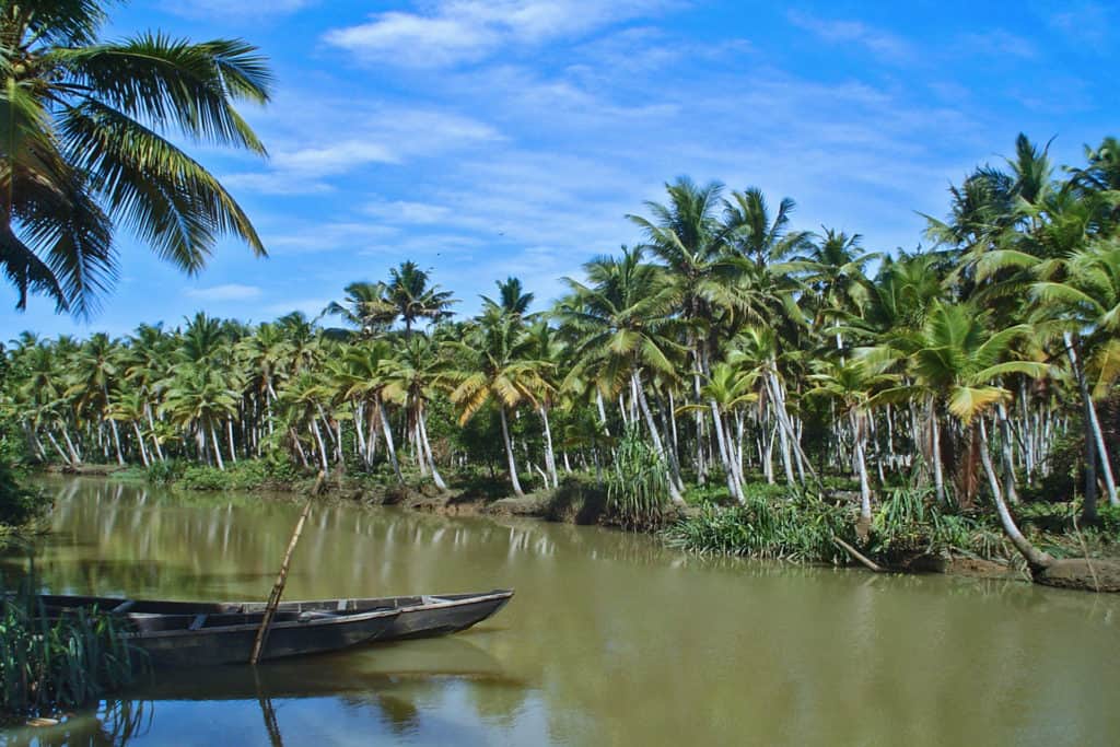 Narrow water ways around Alleppey lined with palm trees with a bright blue sky