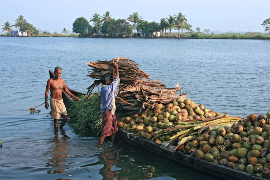 Locals using the backwaters as a transport network for local industries