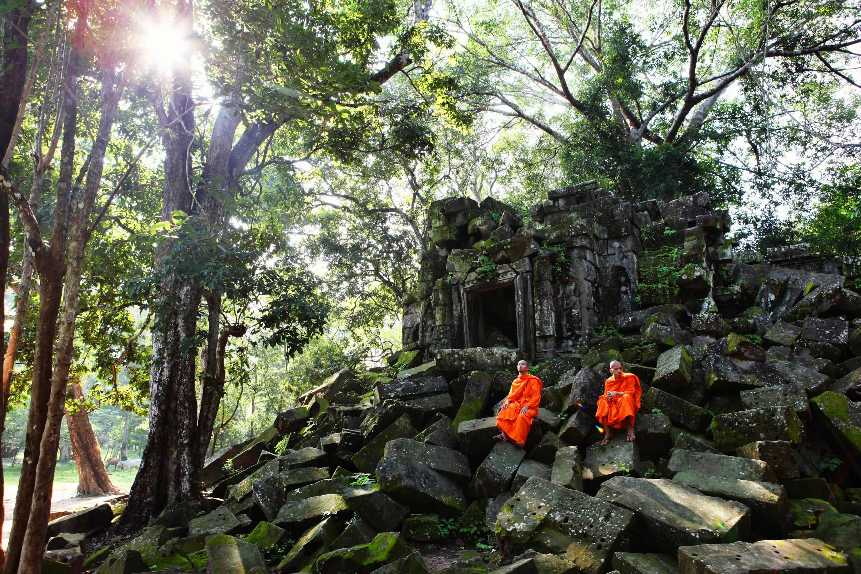 Orange robed Monks sitting on the stones in the ruins of the Beng Melea temple 