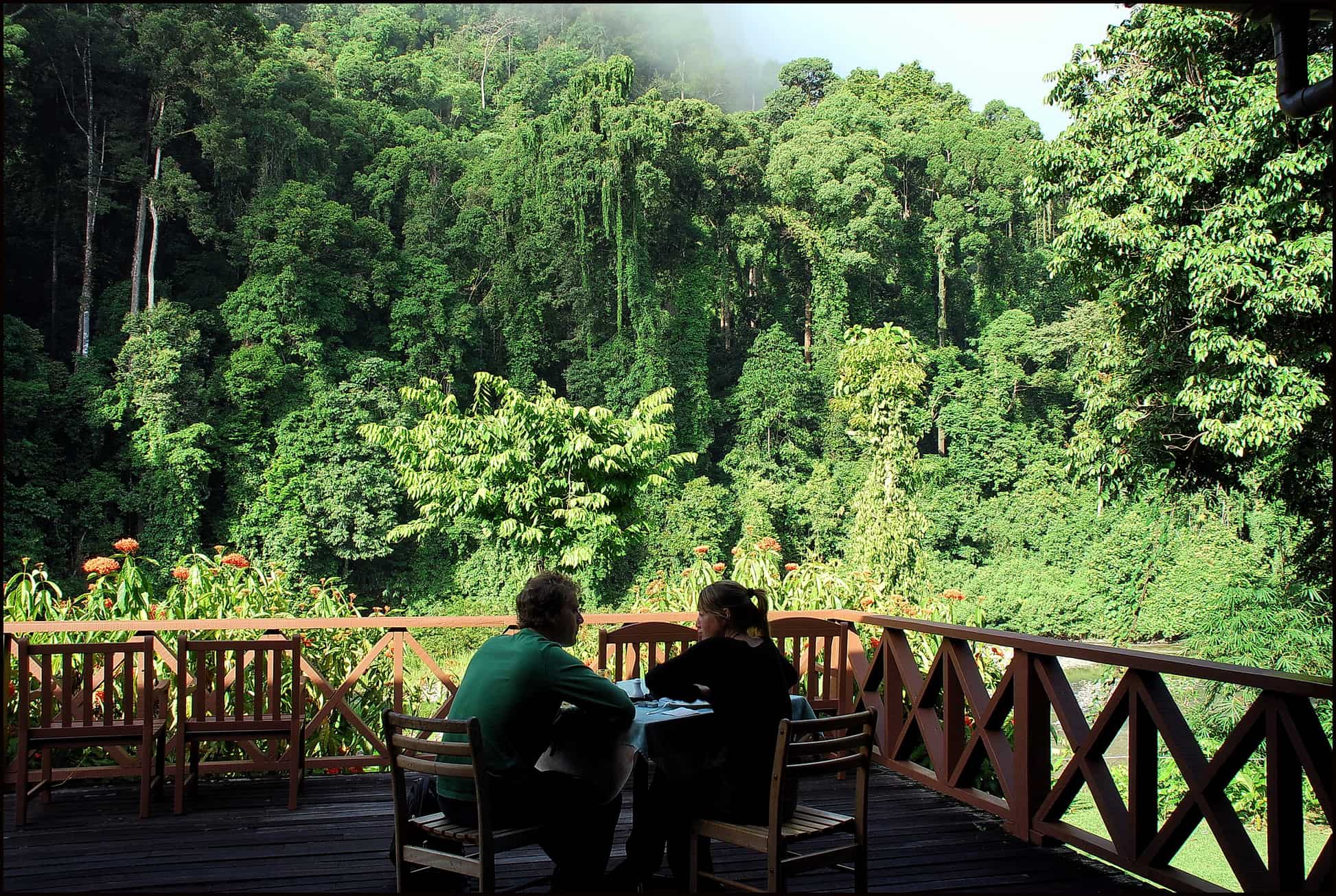 View from a terrace in Borneo Rainforest Resort in Danum Valley