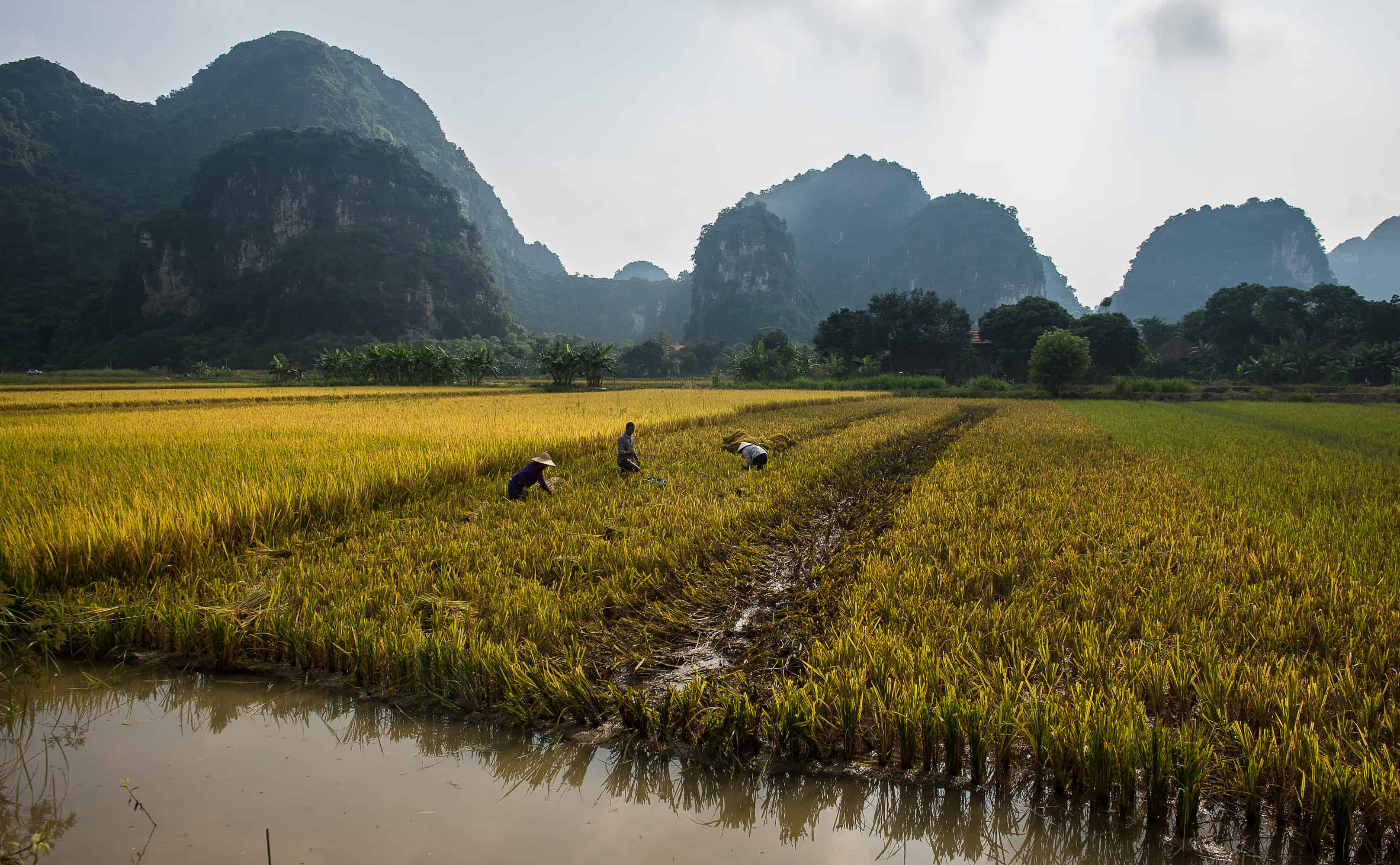 Trang An Ecosystem in Ninh Binh, an alternative water based experience to Halong Bay