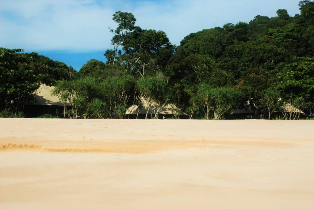 the beach at Wa Ale Island Resort with rainforest in the background