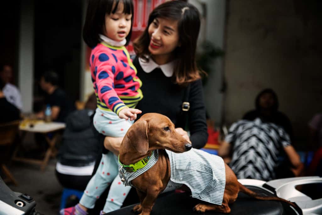 Mother and child looking at a small dog on the back of a motorbike in Vietnam