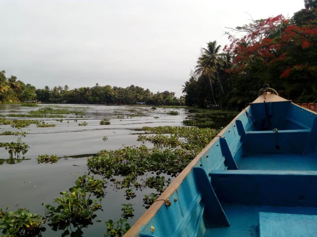 Deep into the narrower channels of the backwaters on a small boat where you get to experience the life of the backwaters