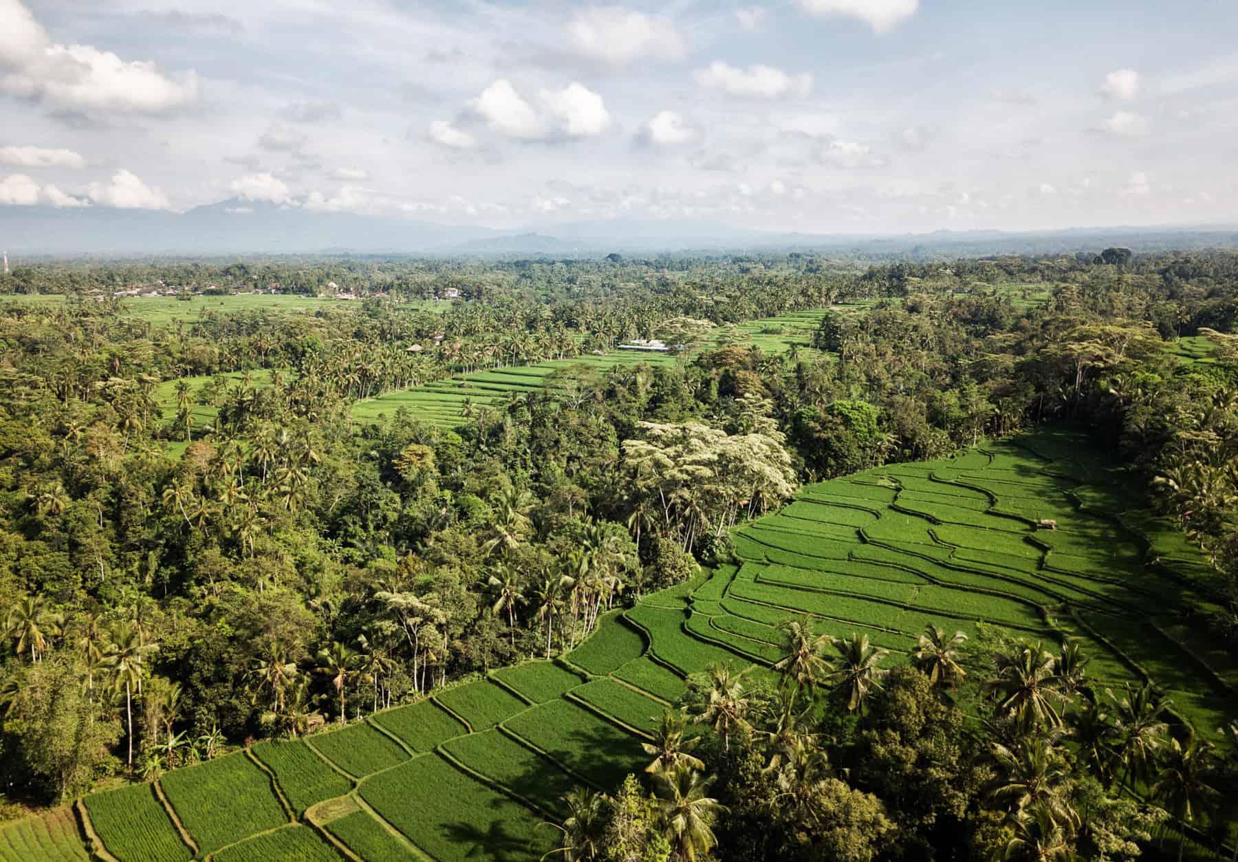 Green travel in Cambodia