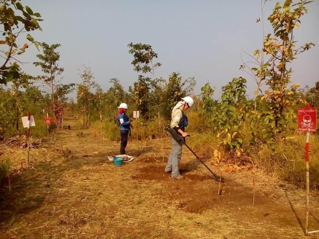 Cambodia -Checking ground cleared by a deminer with a metal detector