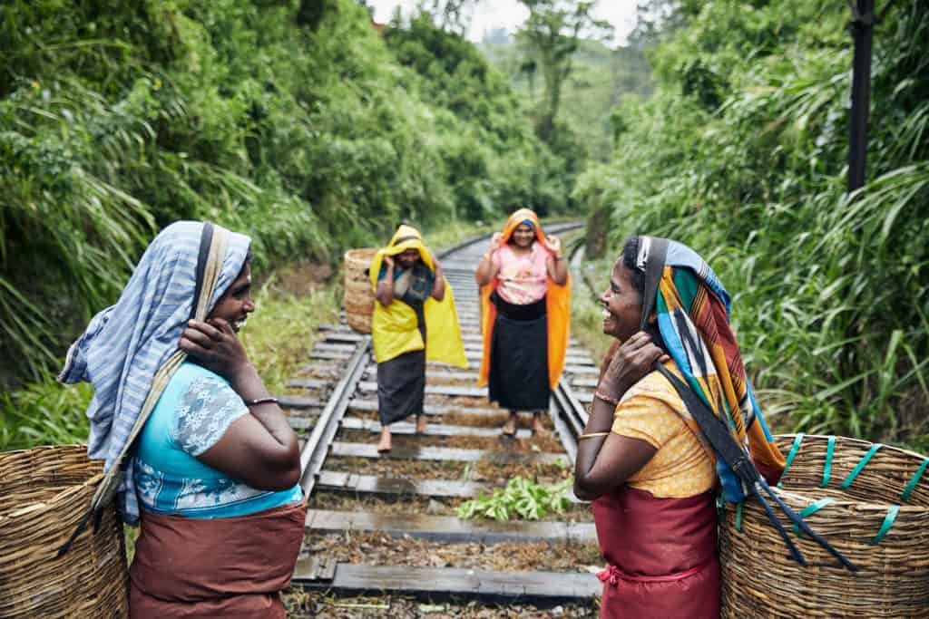 Sri Lanka - Tea Pluckers