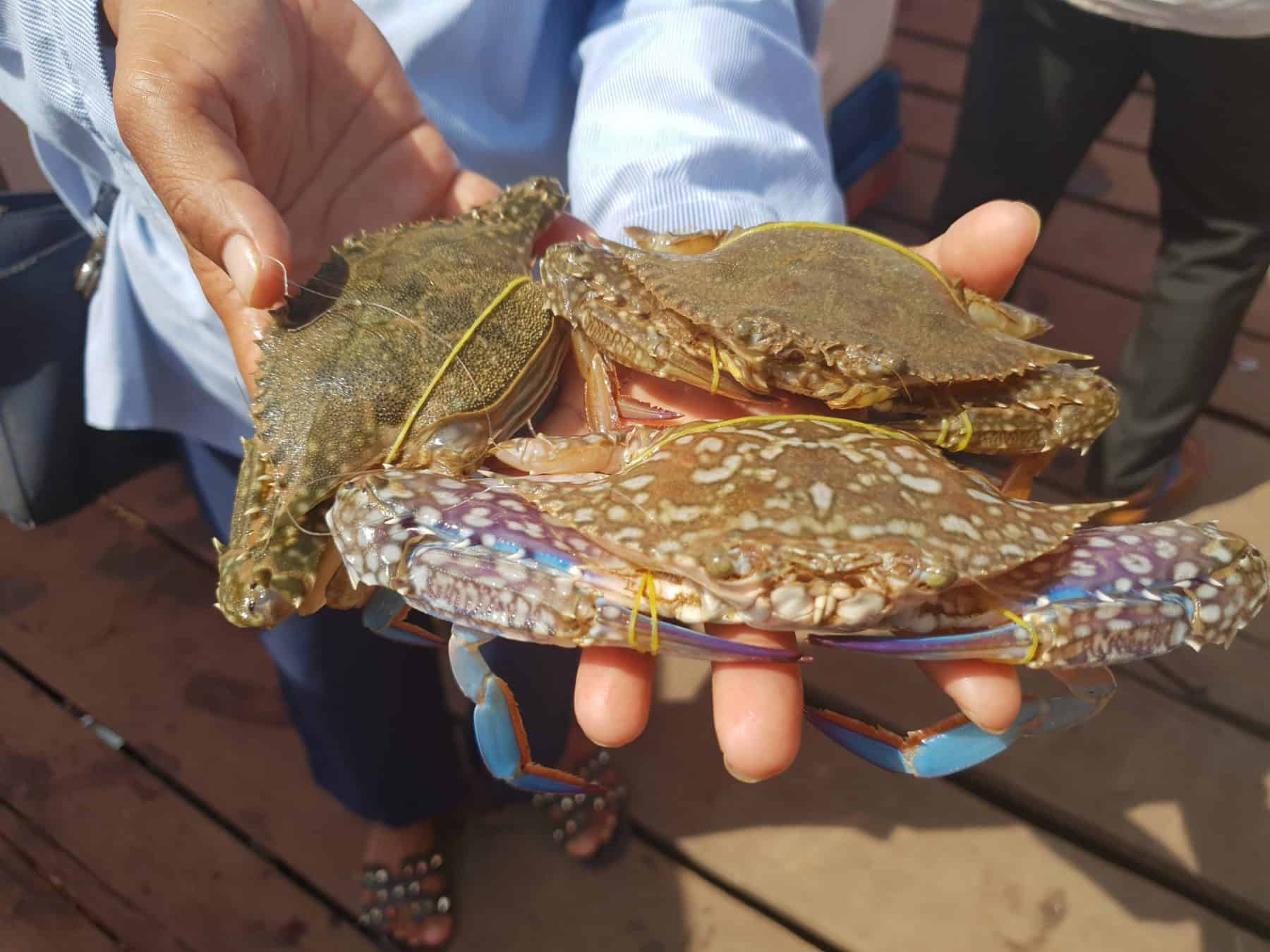 Kep is most famously known for its bustling crab market