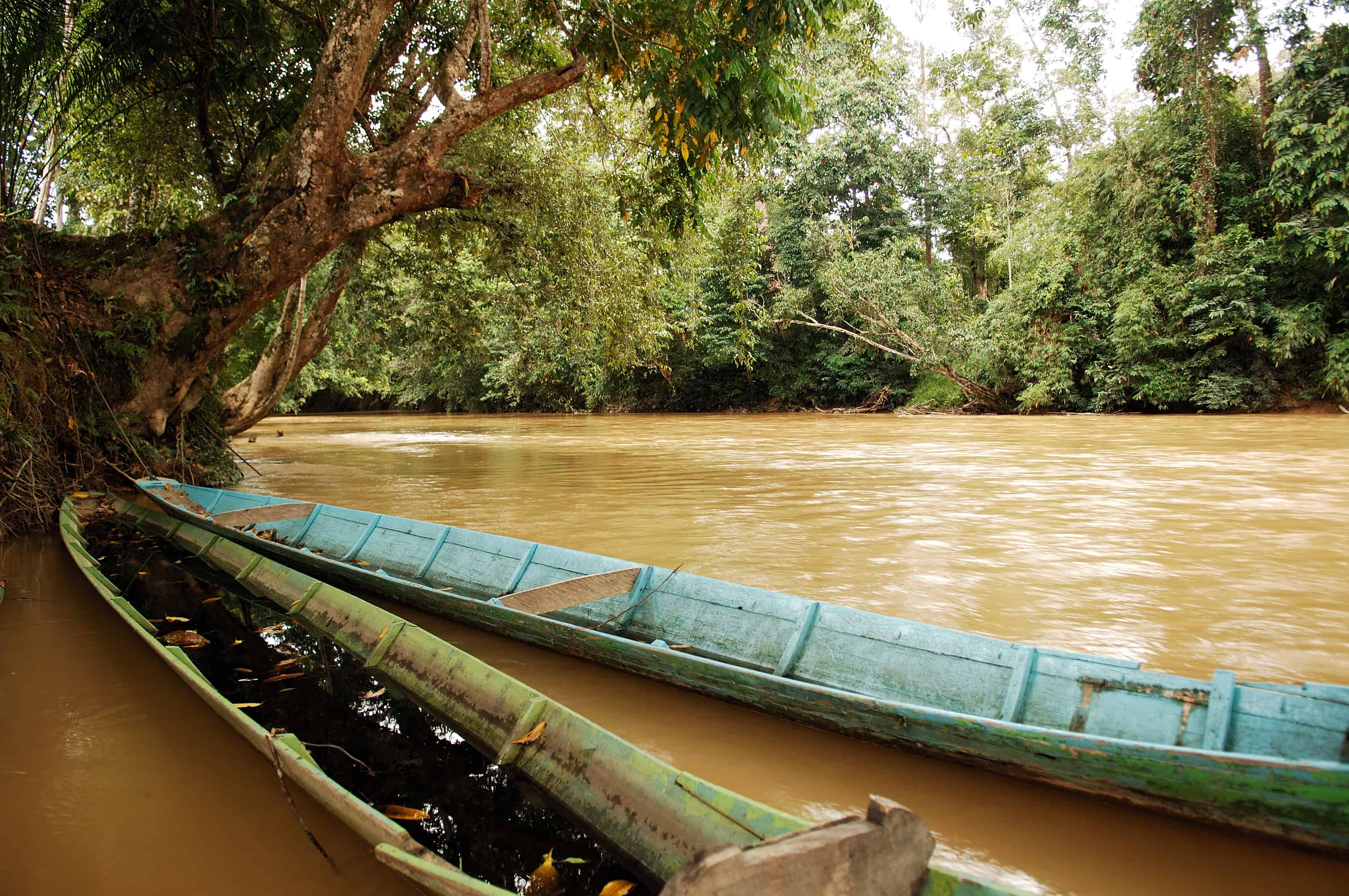 Malaysia, Borneo, Sarawak: Boat in the Jungle