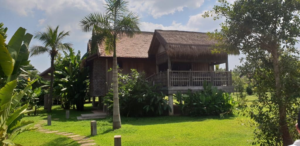 Thatched, raised cottages of Phum Baitang with shrubbery and grass in surrounding them