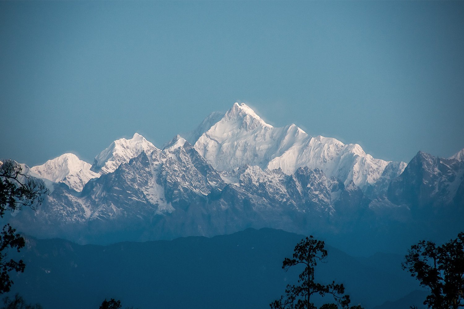 View of the Himalayas in India with trees in the foreground and blue sky in the background