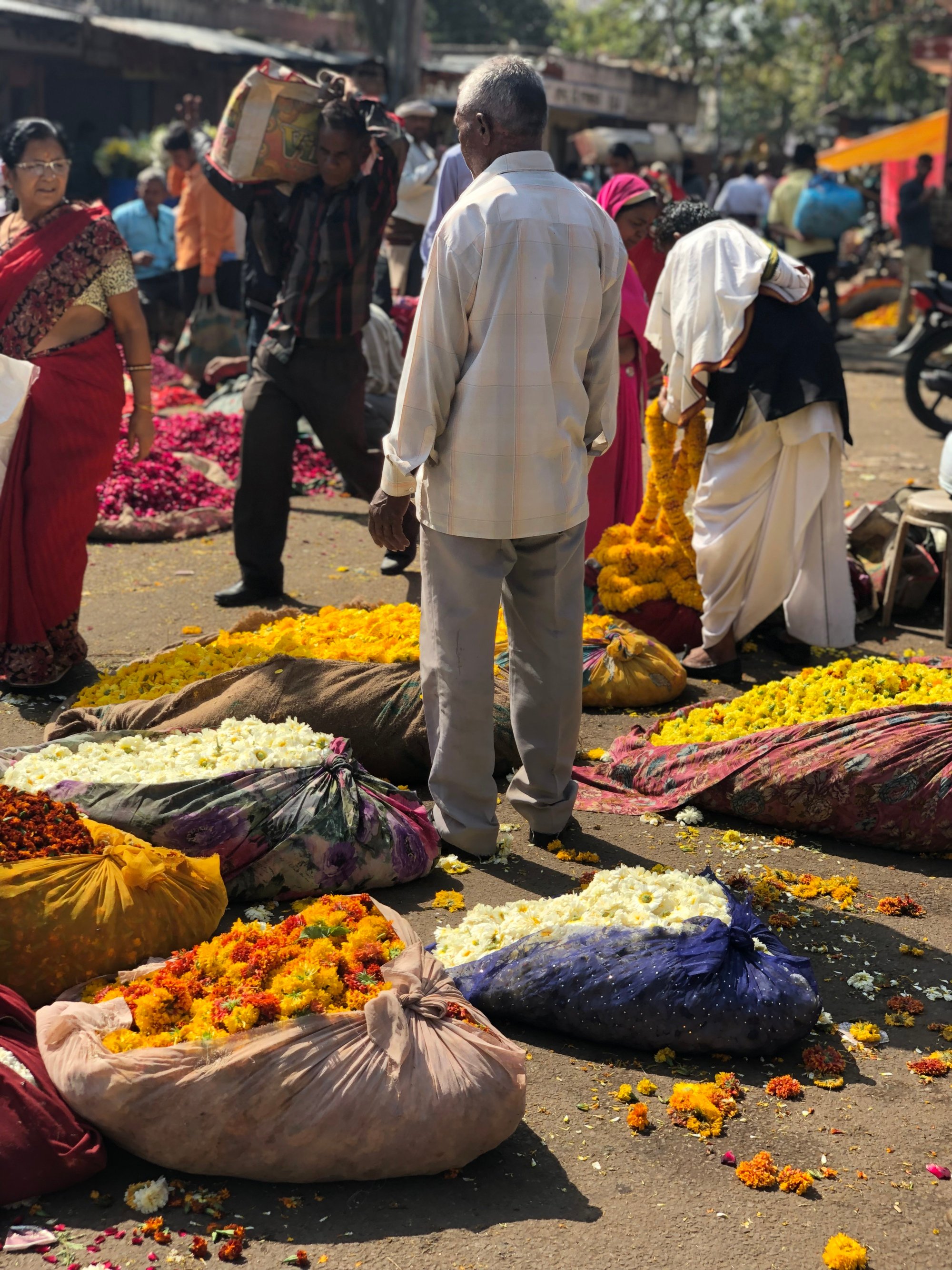 Man in Jaipur flower market with marigolds for Holi Festival