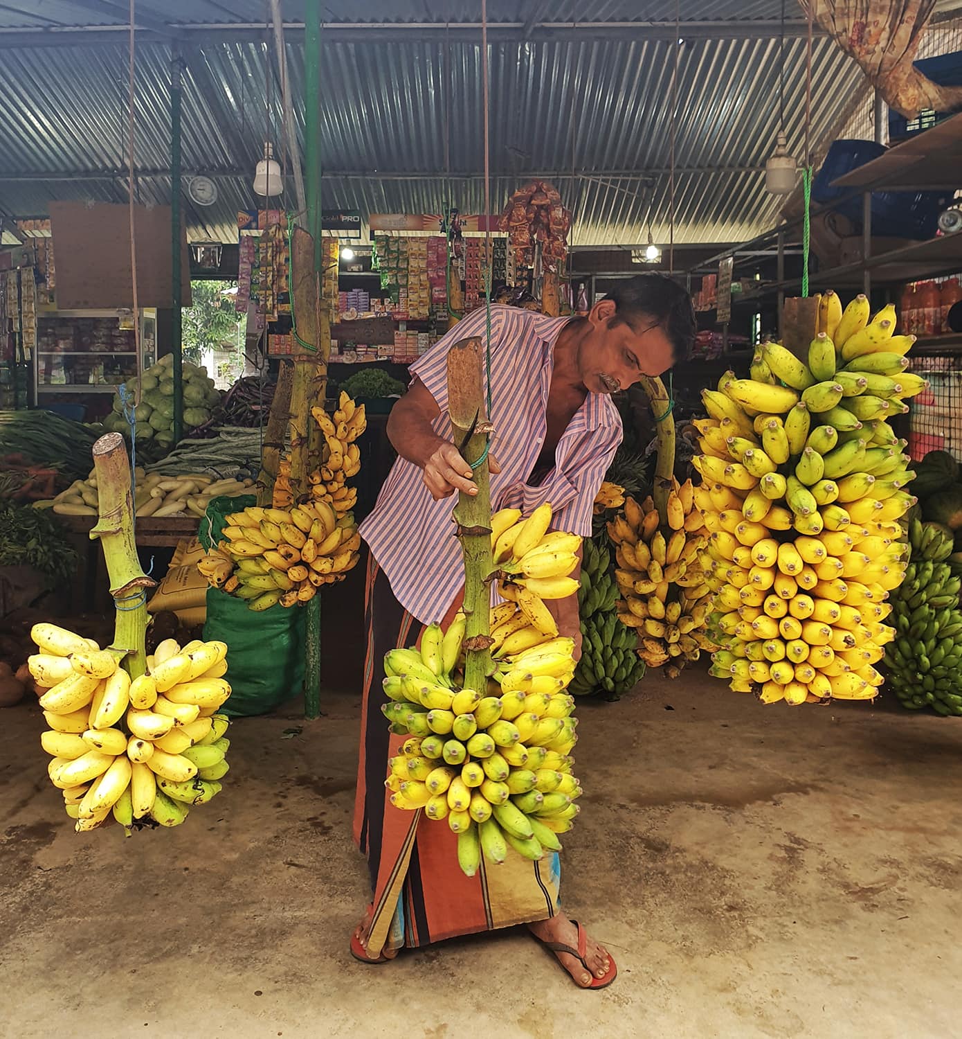 Banana market trader in Sri Lanka