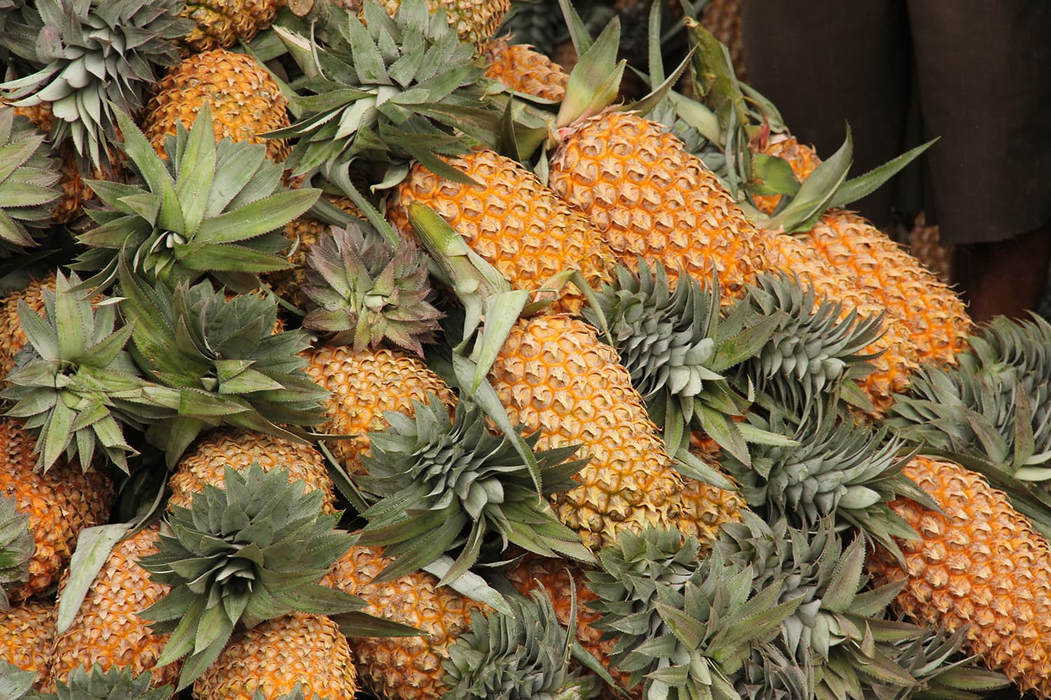 Pineapples stacked up in a market in Sri Lanka