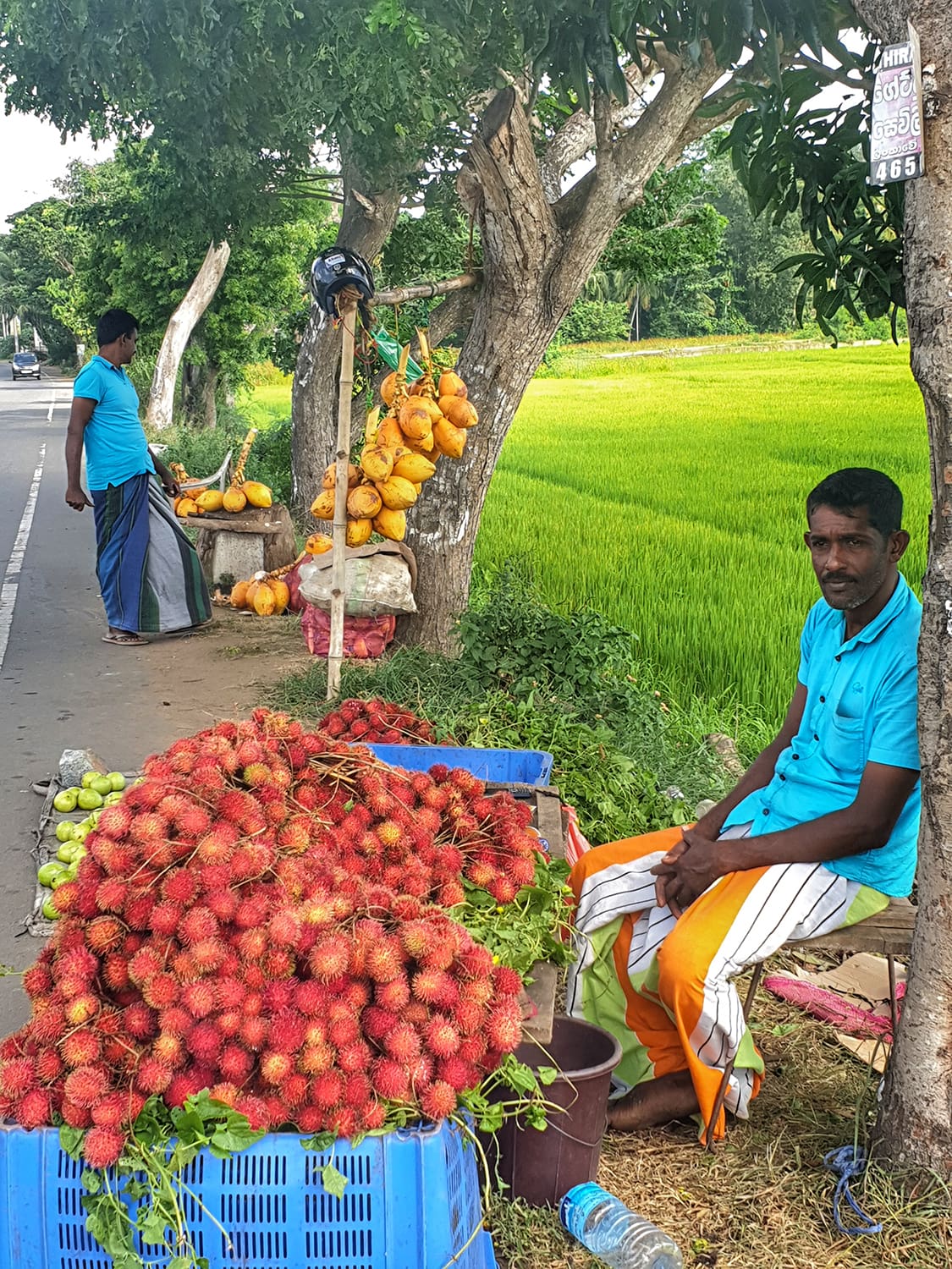 Roadside traders selling Rambutan in Sri Lanka