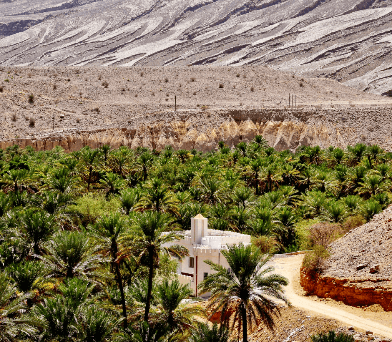 Trees and green landscape in the forefront and rugged desert in the background