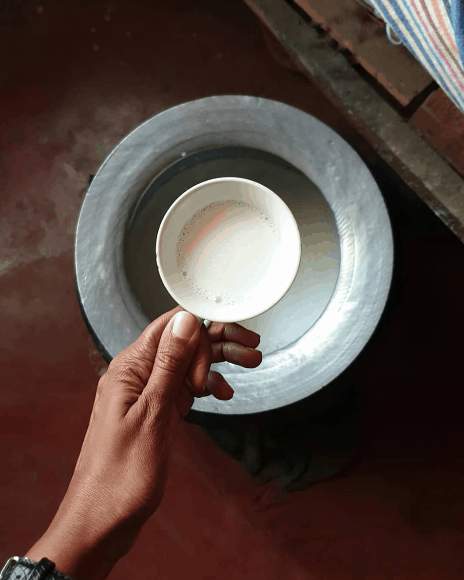 A bowl of Buffalo milk for Sri Lankan curd